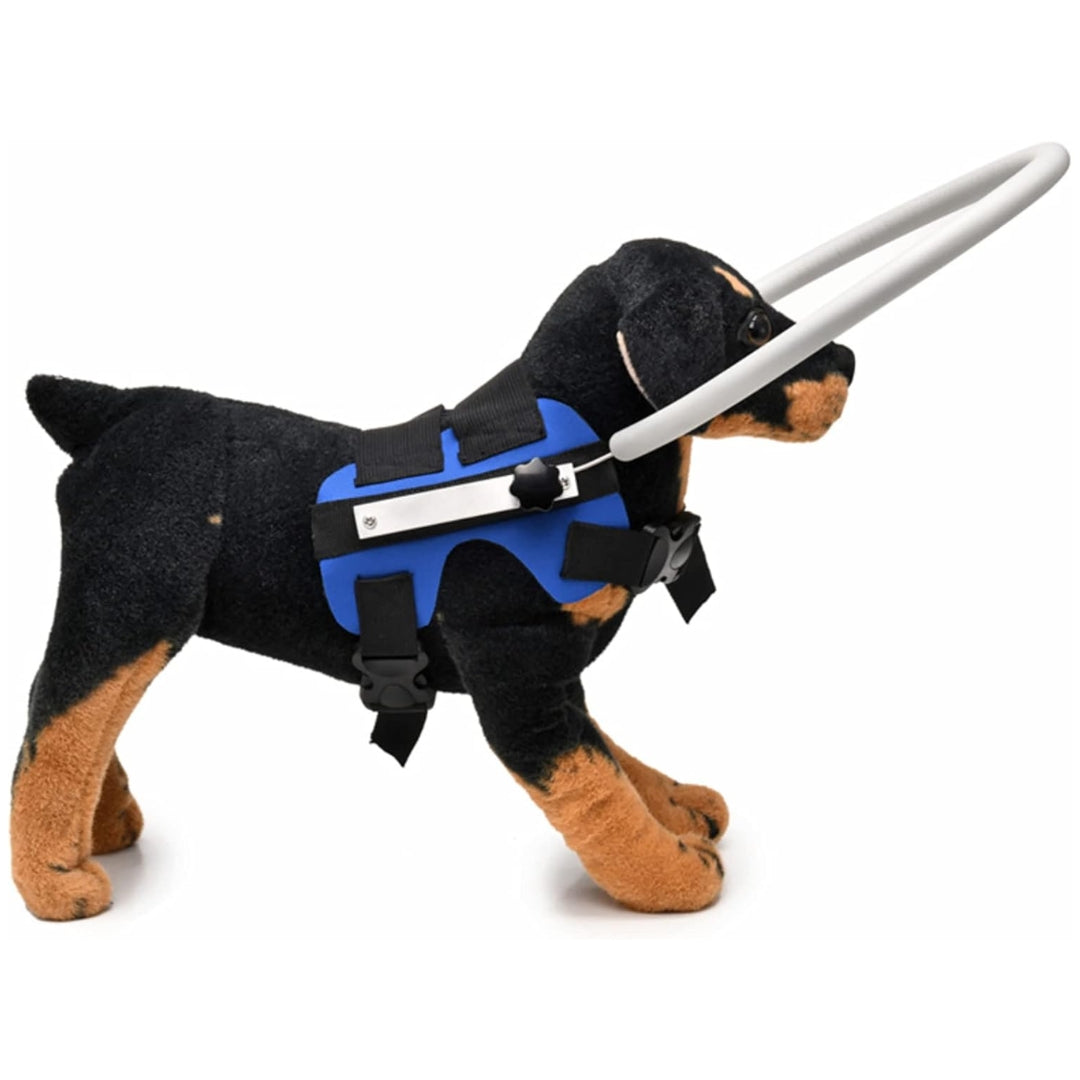 Arnés con Aro Protector para Perros Ciegos (Anti Golpes)